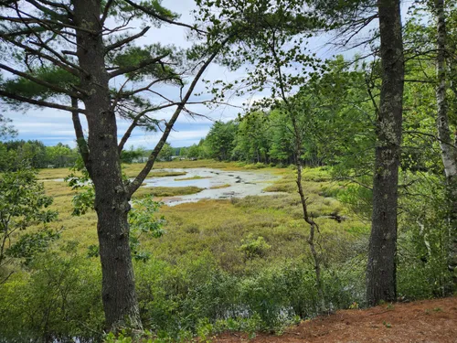 Best Hikes and Trails in Range Ponds State Park | AllTrails