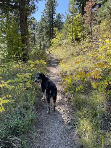 Historic Roads: 5 Scenic Hiking Trails in Sturgis – South Dakota