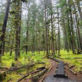 Tonsina Creek Trail, Alaska - 1,304 Reviews, Map | AllTrails