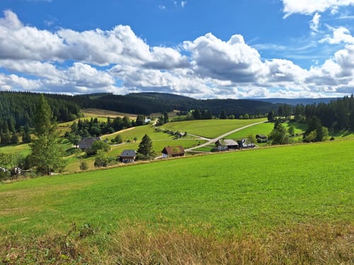 Hochschwarzwälder Hirtenpfad (Genießerpfad)