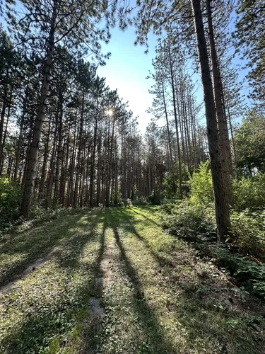 Best Hikes and Trails in Standing Rock Park | AllTrails