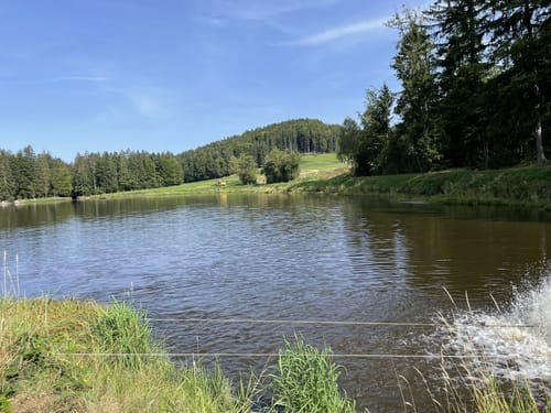 Großer Rundweg Steinklamm bei Spiegelau