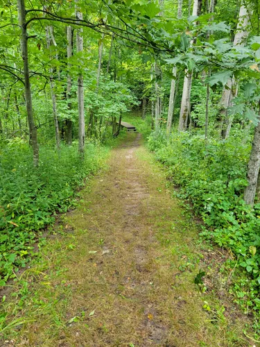 Best Hikes and Trails in Bayshore Blufflands Nature Preserve | AllTrails