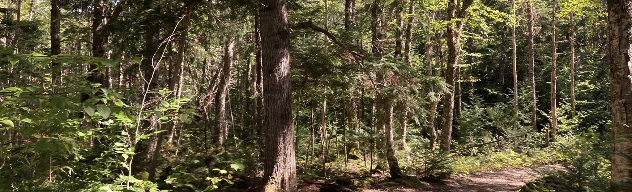 East Bay Hills Trail, Nova Scotia, Canada 64 Reviews, Map AllTrails