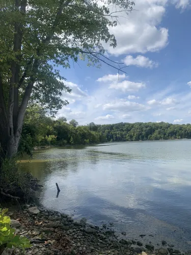 Lake Profile -- EAST FORK LAKE