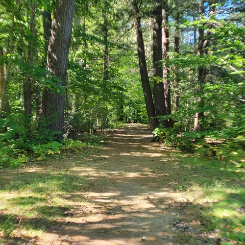 Best Hikes and Trails in Gilman Park AllTrails