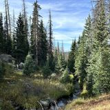 Timber Lake Trail, Colorado - 606 Reviews, Map | AllTrails