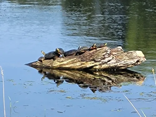 Hike, Swim, Fish, and More At Thomas Mitchell Park In Iowa