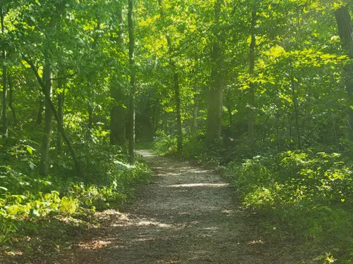 Best Hikes and Trails in Thomas Mitchell County Park