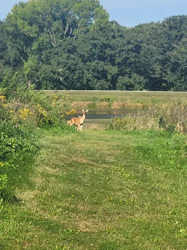 Hike, Swim, Fish, and More At Thomas Mitchell Park In Iowa