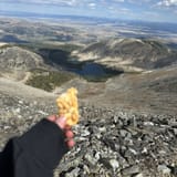 Mount Haggin Trail, Montana - 44 Reviews, Map | AllTrails