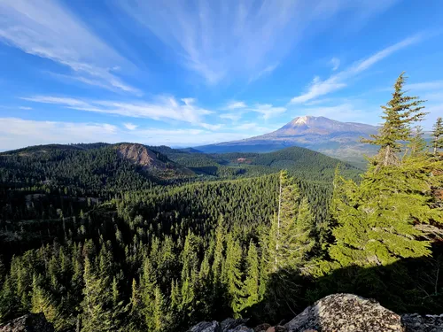 Mount Adams from Trout Lake Road, USA