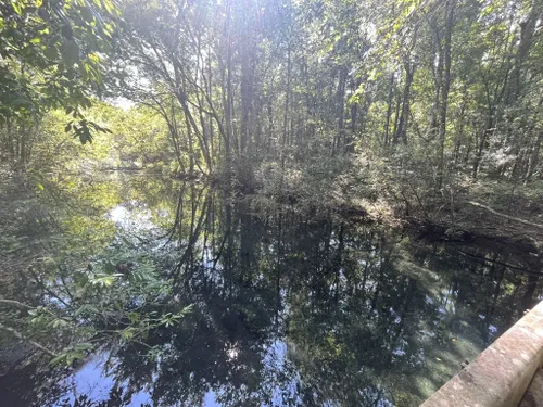 Edward Ball Wakulla Springs State Park