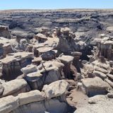 Bisti Badlands Trail, New Mexico - 1,203 Reviews, Map | AllTrails