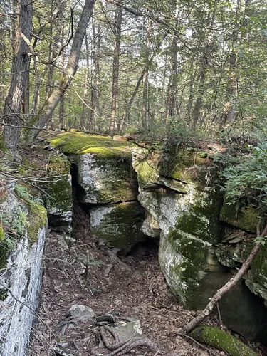 Sloan Preserve Trails: 38 Reviews, Map - Michigan