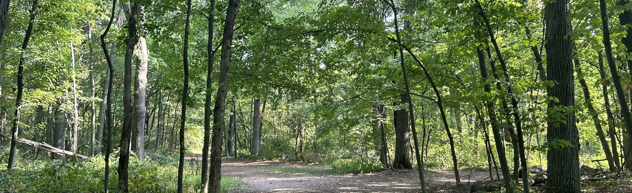 Lowes Creek Trails, Wisconsin 356 Reviews, Map AllTrails