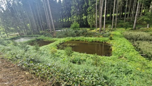 Rund um Kopp
