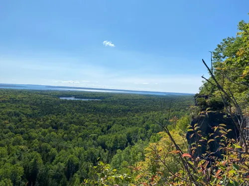 2023 Best Forest Trails In Northeastern Manitoulin And The Islands Alltrails 8456