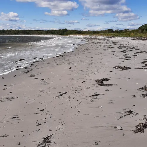 2023 Best No Dogs Trails in Cape Elizabeth AllTrails