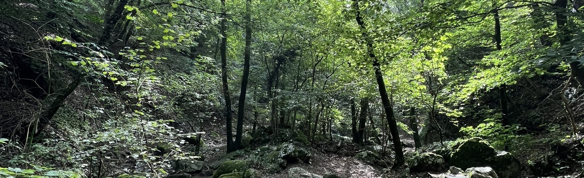 il-sentiero-dello-spirito-del-bosco-94-foto-lombardia-italia