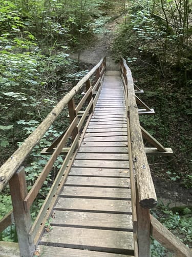 Ungeheuerklamm-Runde von Untergrombach