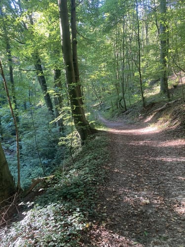 Ungeheuerklamm-Runde von Untergrombach