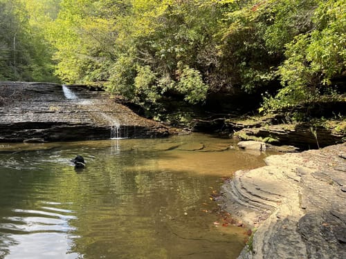 White Pine Cascades 28 - hikes and trails to get you there