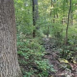 Musconetcong Gorge, New Jersey - 931 Reviews, Map | AllTrails