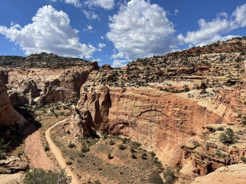 Alltrails capitol reef sale