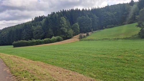 Rund um Kopp