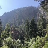 Lower Columbine Trail, Colorado - 2,677 Reviews, Map | AllTrails