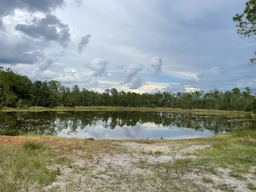 Best Hikes and Trails in Little Manatee River State Park | AllTrails