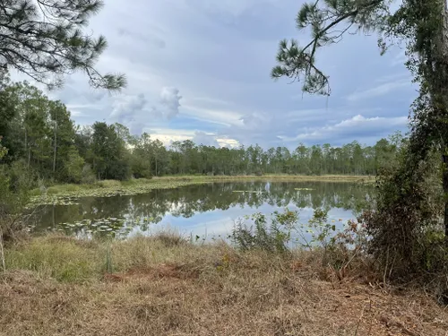 Best Hikes and Trails in Little Manatee River State Park | AllTrails