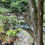 Conasauga Falls Trail, Tennessee - 549 Reviews, Map | AllTrails