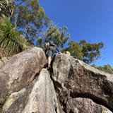 Mount Barney Loop Logans Ridge and Peasants Ridge, Queensland ...