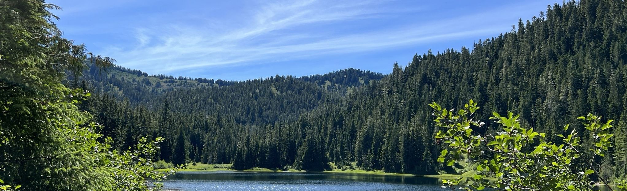 Deer Lake Trail, Washington - 672 Reviews, Map | AllTrails