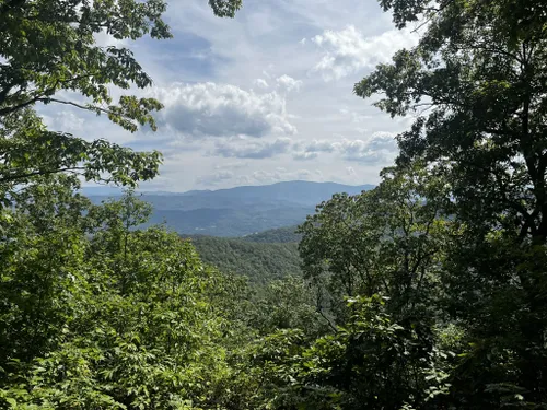 10 Best Trails and Hikes in Johnson City | AllTrails