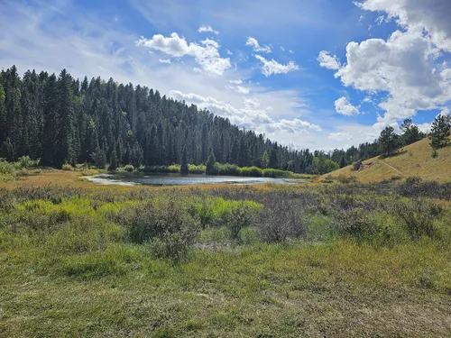 2023 Best Kid Friendly Trails in Mueller State Park | AllTrails