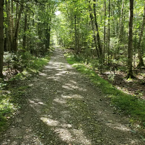 2023 Best Wildlife Trails in Walpole AllTrails