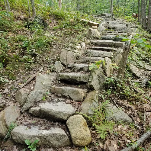 2023 Best Wildlife Trails in Walpole AllTrails