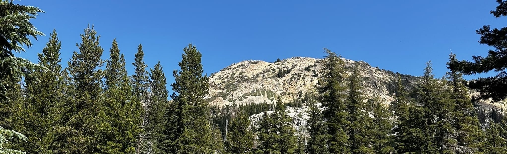 Barrett Lake via Red Peak OHV Trail, California 20 Reviews, Map AllTrails