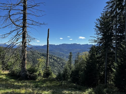 Stallauer Eck - Stallauer Kopf - Angerlkopf - Enzenauer Kopf
