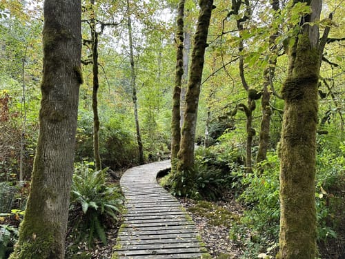Best hikes and trails in Duthie Hill Mountain Bike Park AllTrails