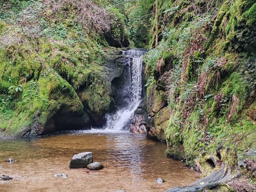 Geroldsauer Wasserfall- Eberkopf