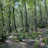 Rimrock Overlook Trail, Pennsylvania - 416 Reviews, Map | AllTrails