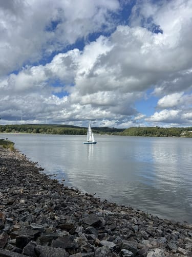 Bostalsee Rundwanderweg