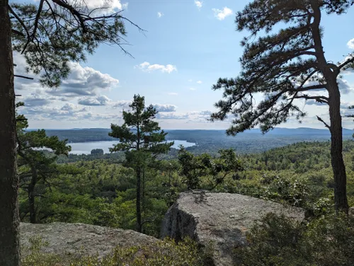 2023 Best Forest Trails in Center Strafford | AllTrails