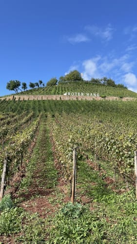 Rundurs Nackenheim