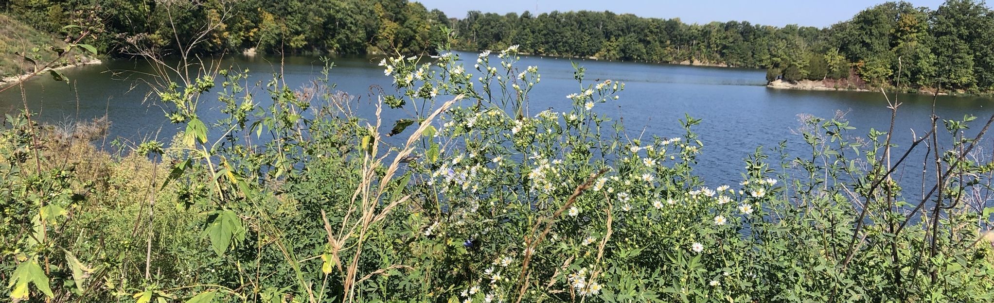 caesar creek mountain bike trails