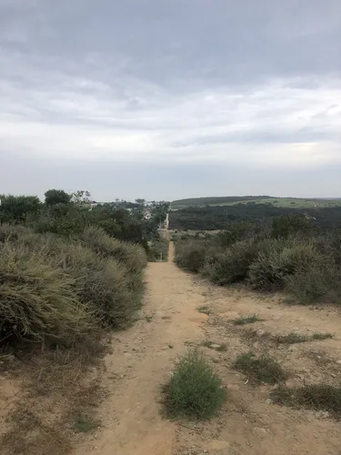 10 Best Trails and Hikes in Oceanside